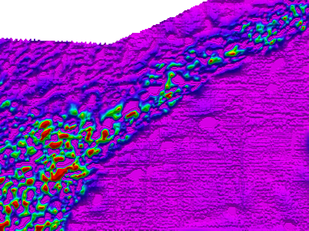 Fiji Geologist Contractor Software